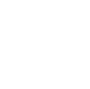 WFK Consulting Logo Klein Weiß